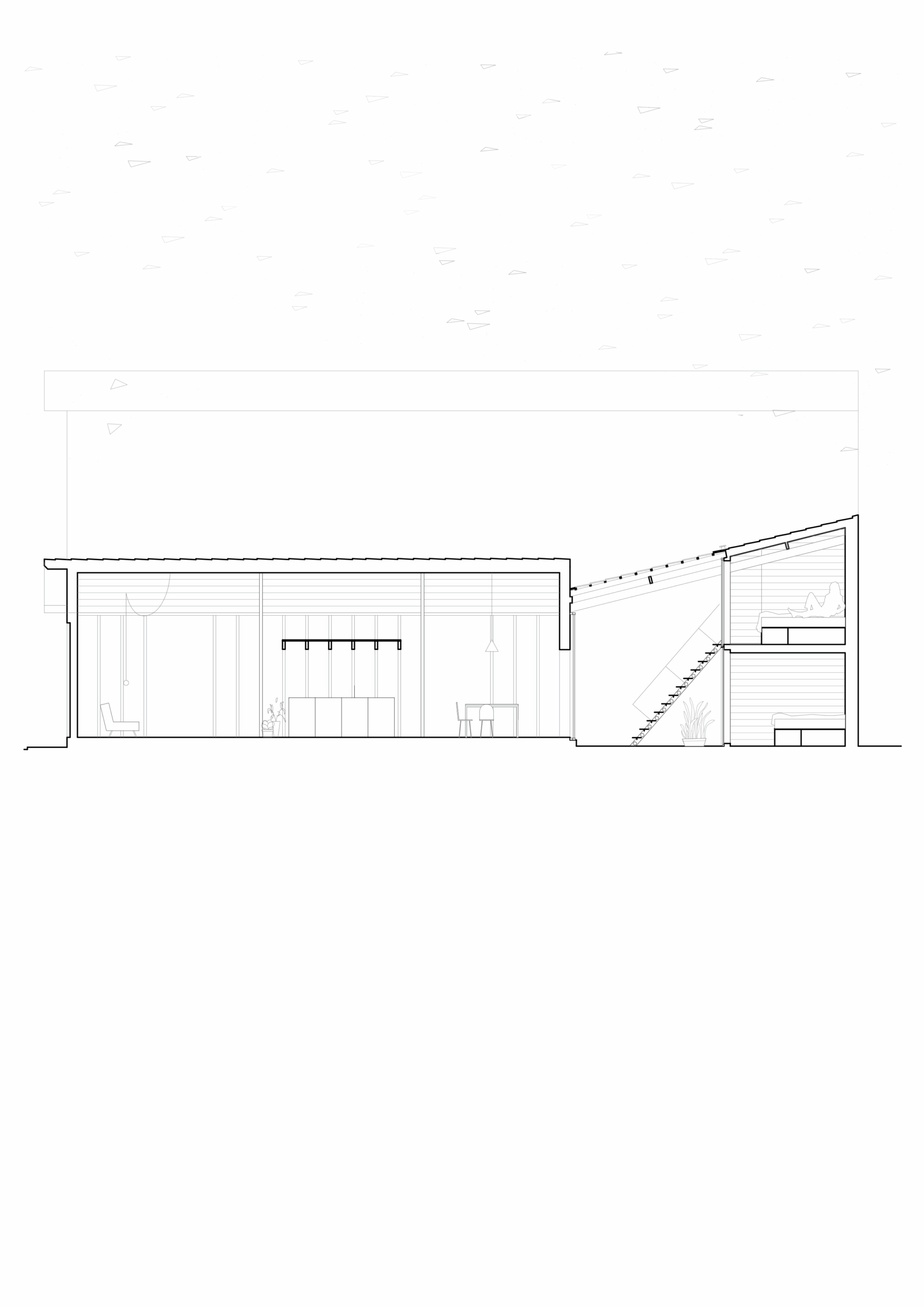 coupe longitudinale / littoral