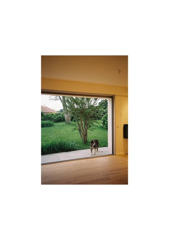 Jardin intérieur / louis arena - louis arena architecture - Hurmalaga, Arbonne, 2025
