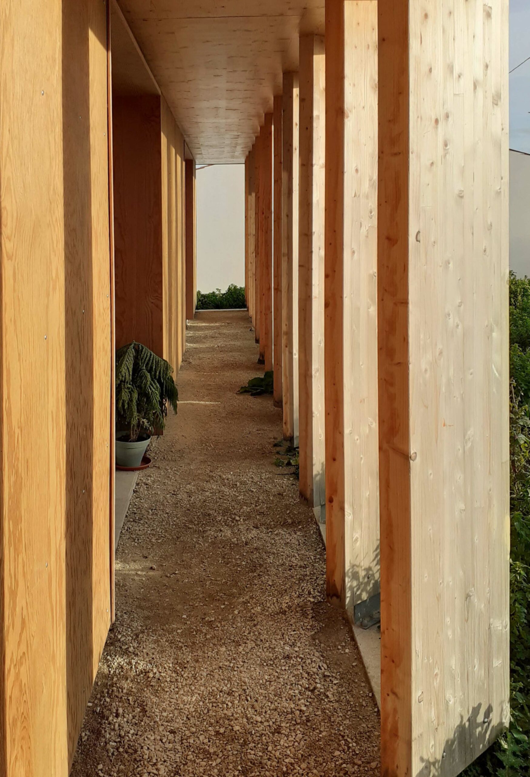 Coursive façade sud. Brise-soleil bois. / Laurent Guillon - Agence Laurent Guillon Architectes - Cabinet de kinésithérapie, Marans, 2022.