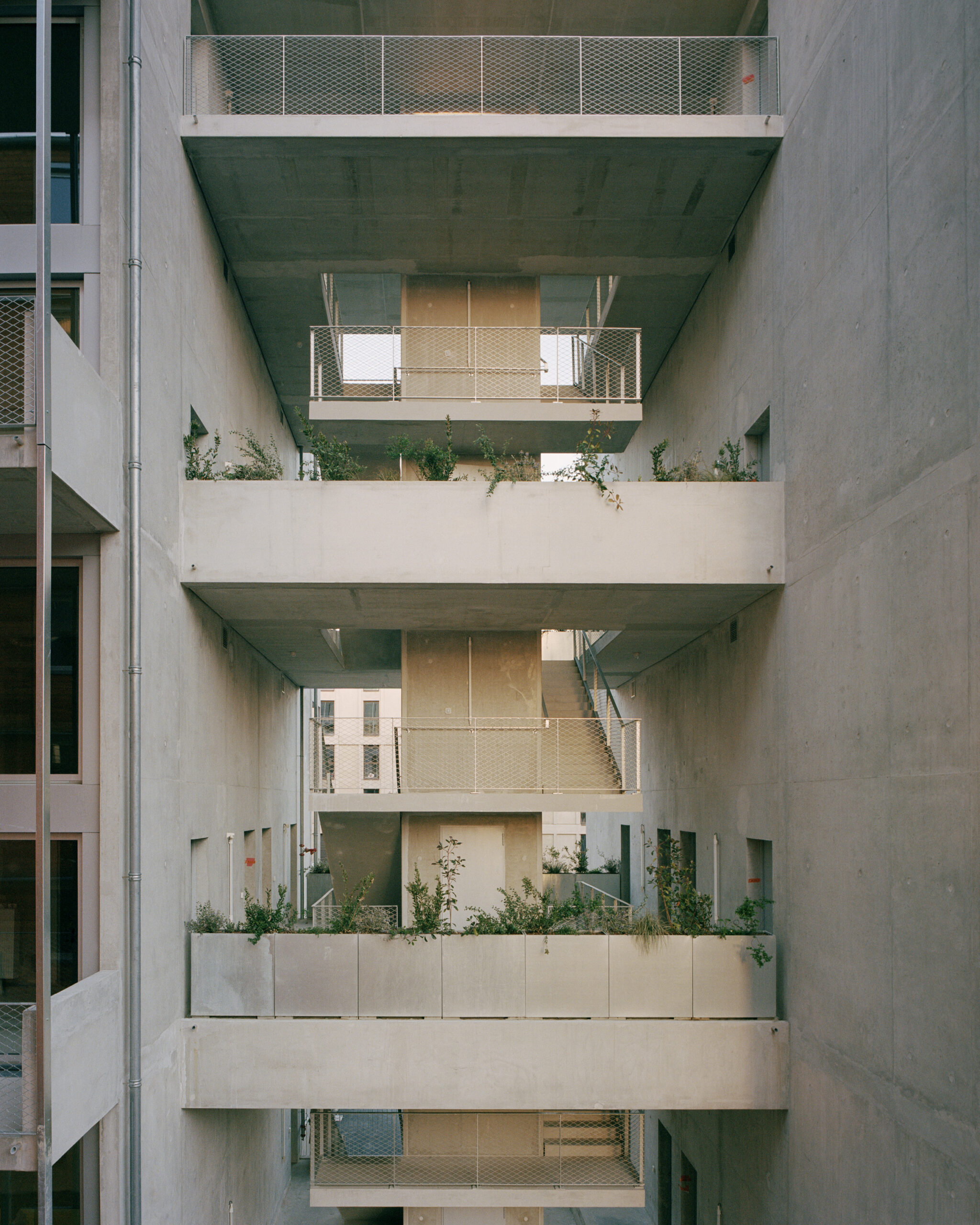 La cage d’escalier est un espace généreux, surdimensionné. Les premiers mois, les chantiers individuels déborderont, par la suite ces lieux partagés deviendront une prolongation des appartements. / Rory Gardiner pour A6A