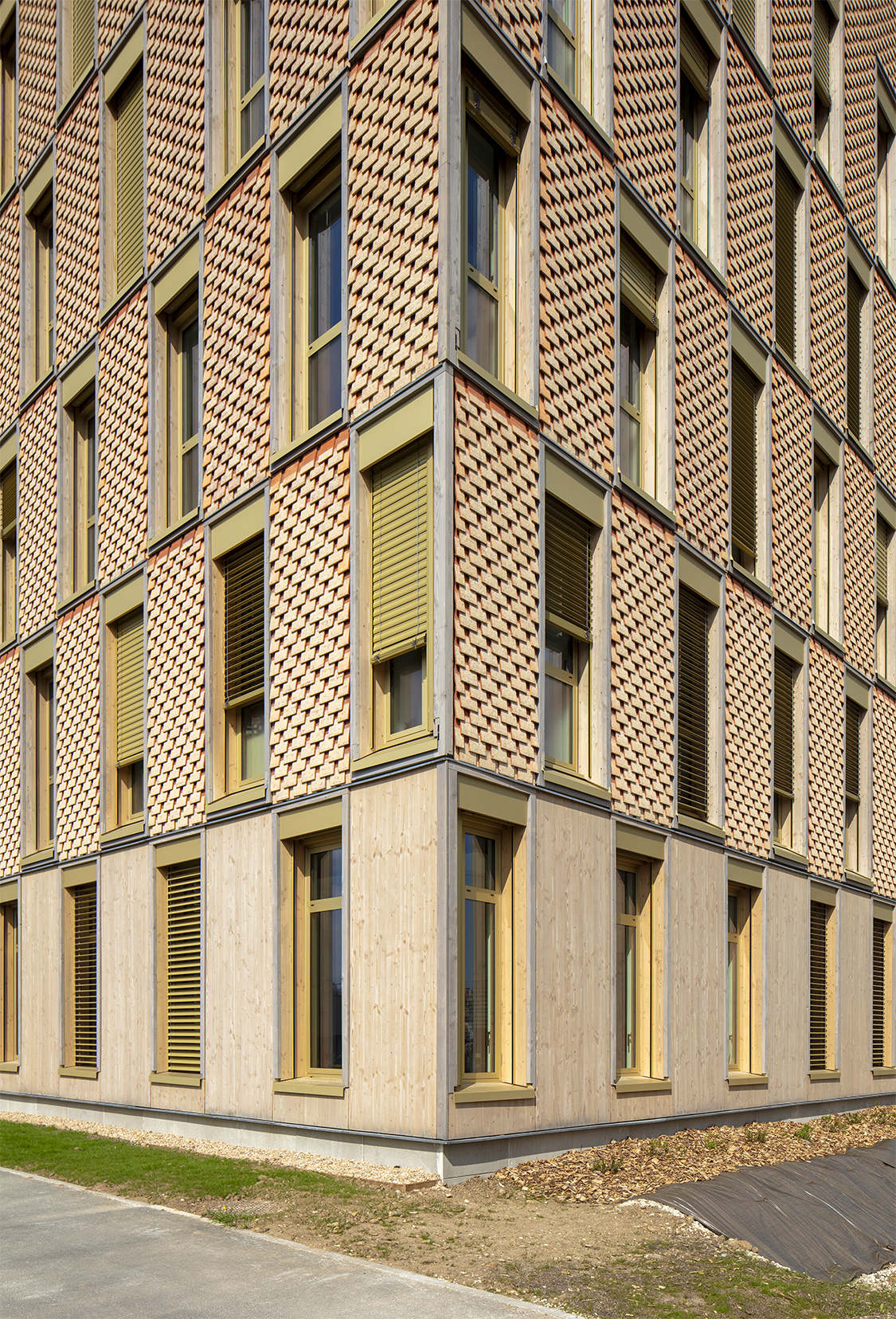 Détail de la façade en tuiles périgourdines de Montpon-Ménestérol pigmentées à Saint-Aulaye / Edouard Decam - CoCo architecture et Scapa architecte - L'oustaL, Périgueux, 2025