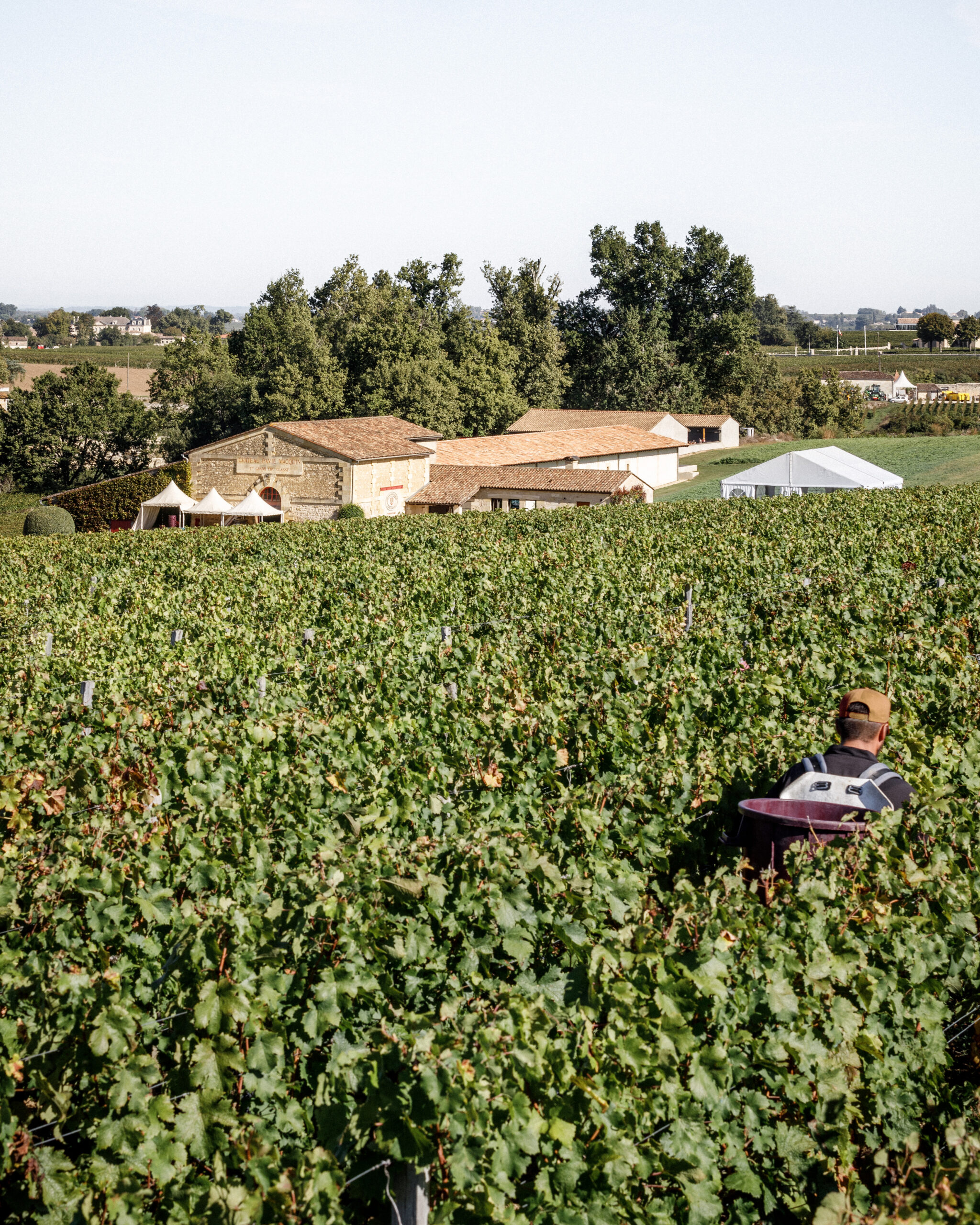 Le Château Pavie Macquin, Au cœur d'un paysage agricole façonné par des siècles de travail de la terre / 11h45- BPM Architectes-Château Pavie Macquin-Saint Emilion