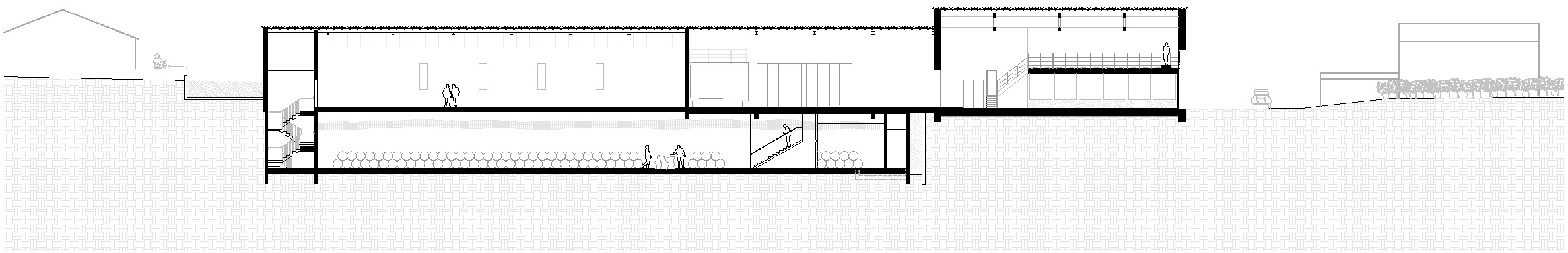 coupe / BPM Architectes - Château Pavie Macquin - Saint Emilion - 2023
