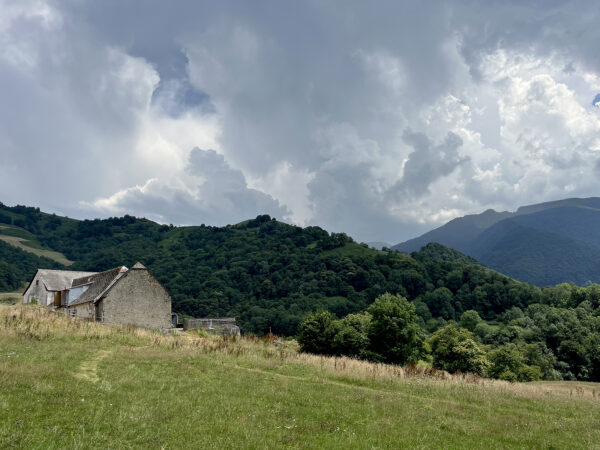 Photo est / Osaa