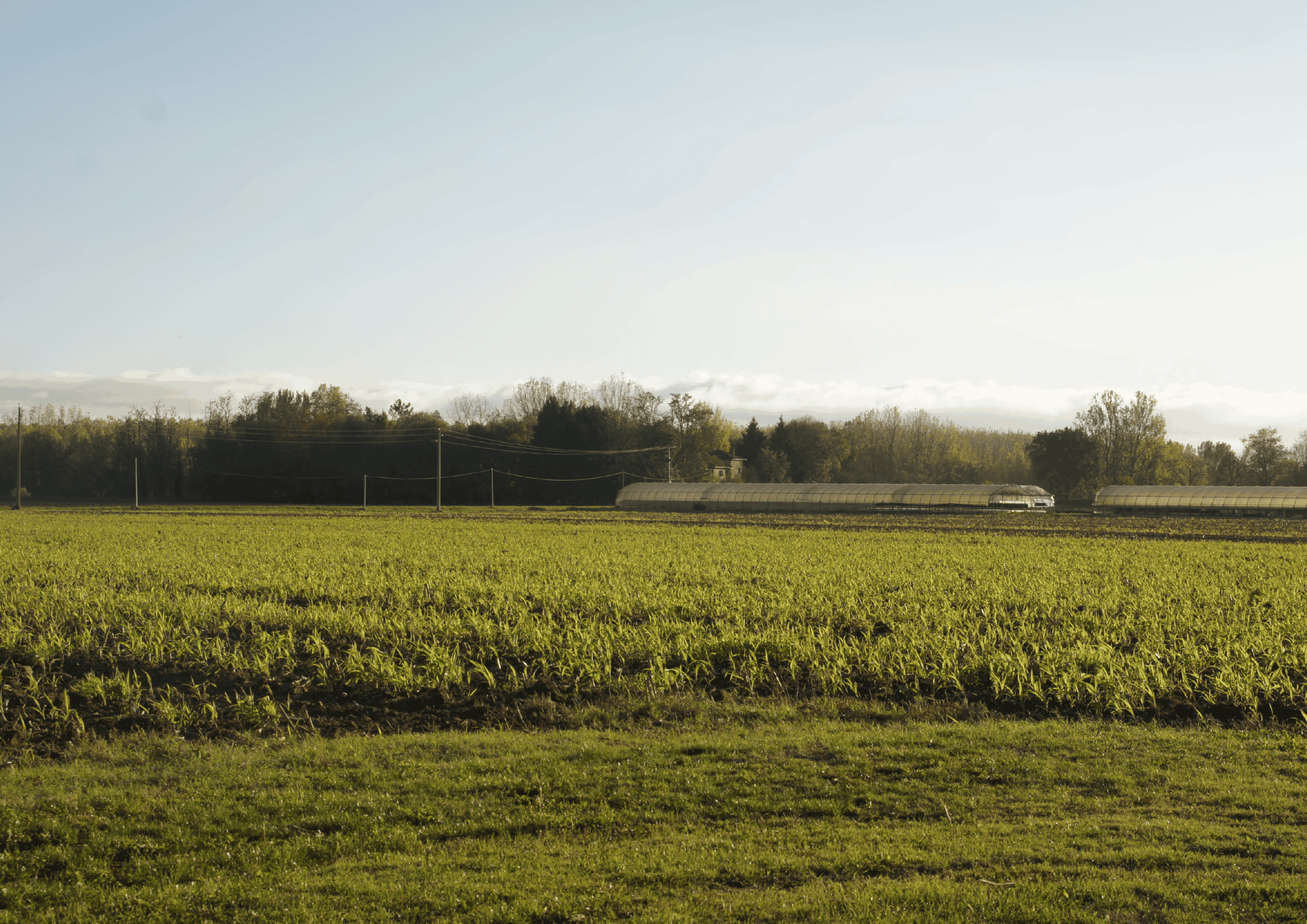 le grand territoire / Juliette Taymont et Marie Vendier- Récits pour des territoires résiduels, Bordeaux,2023