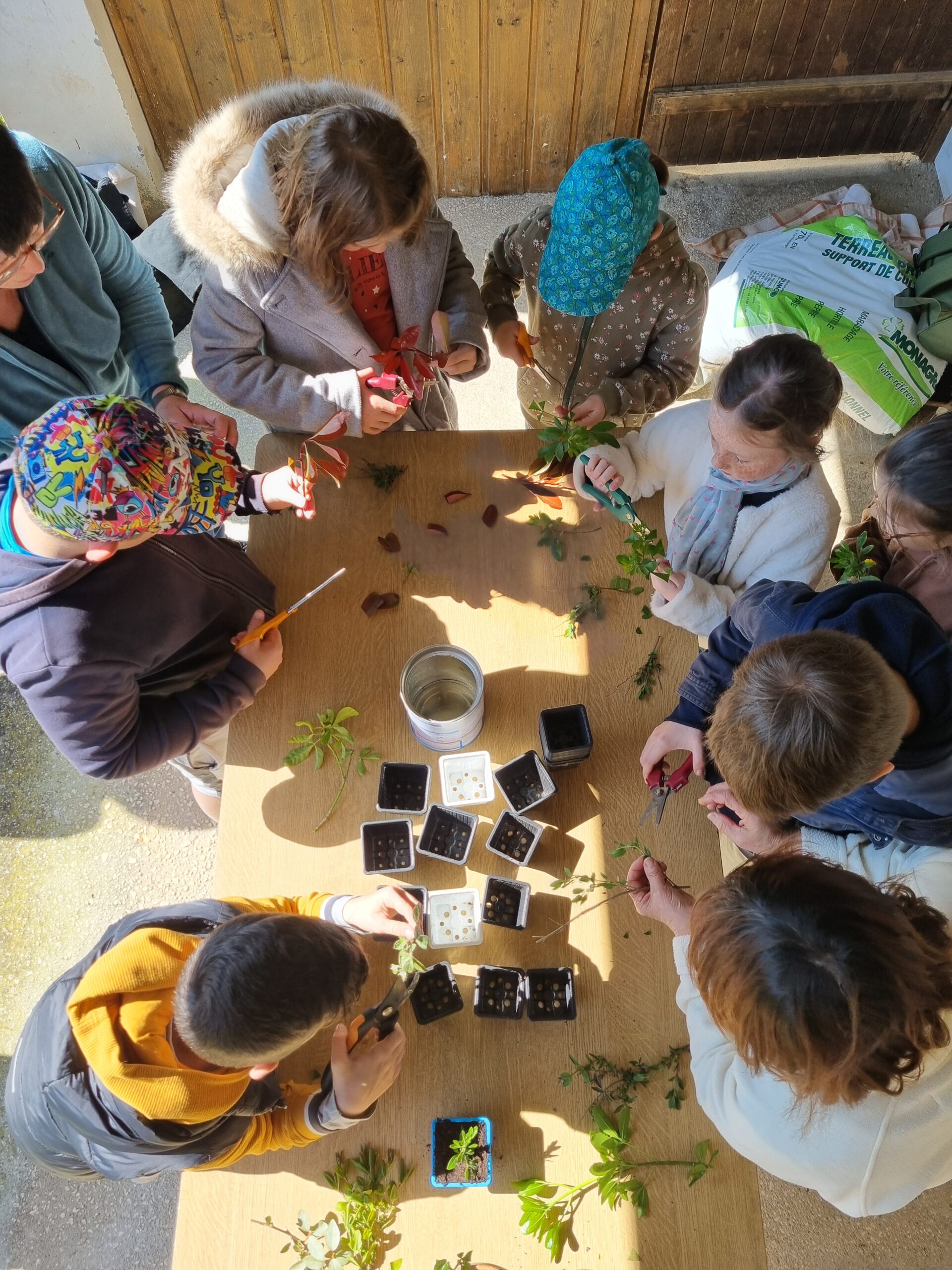 Les enfants bouturent de futurs plants pour leur cour / Jeanne Faure