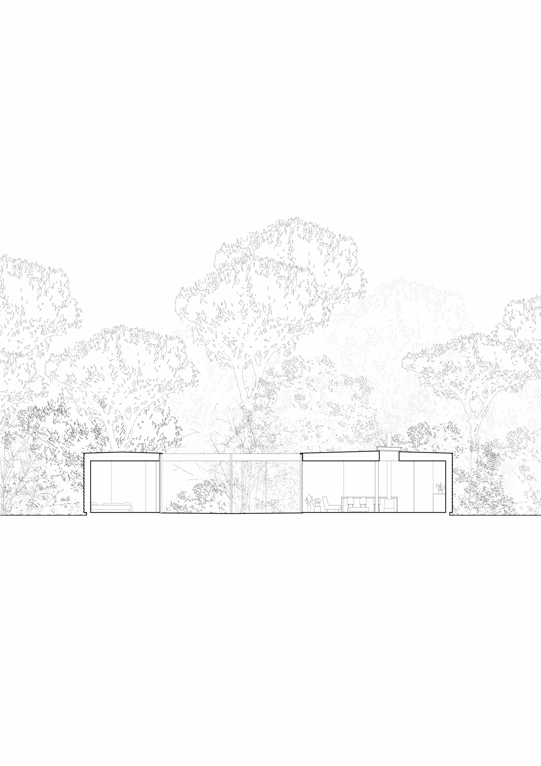 coupe / bast+littoral.