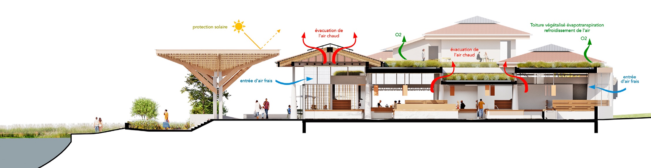 Coupe bioclimatique - Marché de capbreton / GUIRAUD-MANENC Architecture – Marché Capbreton, 2025.