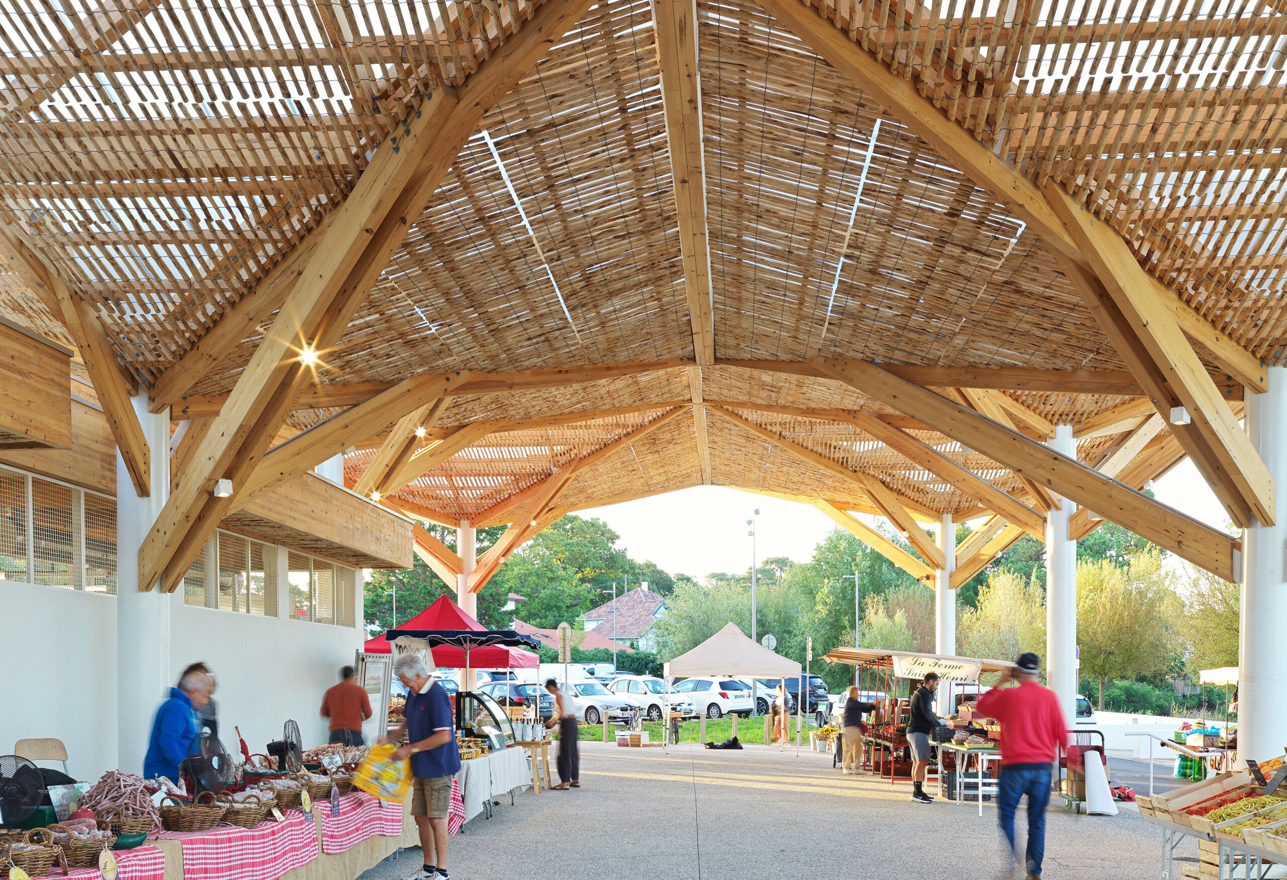 Halle extérieure, matérialisée par une structure évoquant une « pinède architectonique ». / Mathieu Choiselat Photographie – GUIRAUD-MANENC Architecture – Marché Capbreton, 2025.