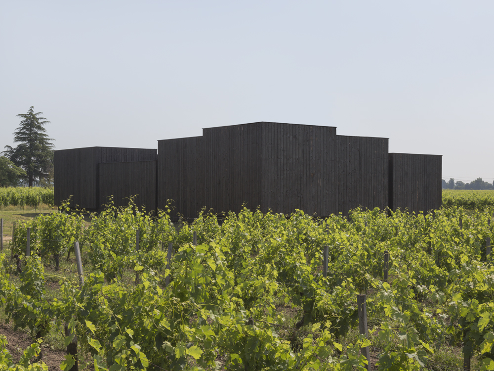 Un édifice au coeur des vignes / Jean-Christophe GARCIA - BRACHARD DE TOURDONNET - Château Edmus, Vignonet - Saint Emilion, 2021