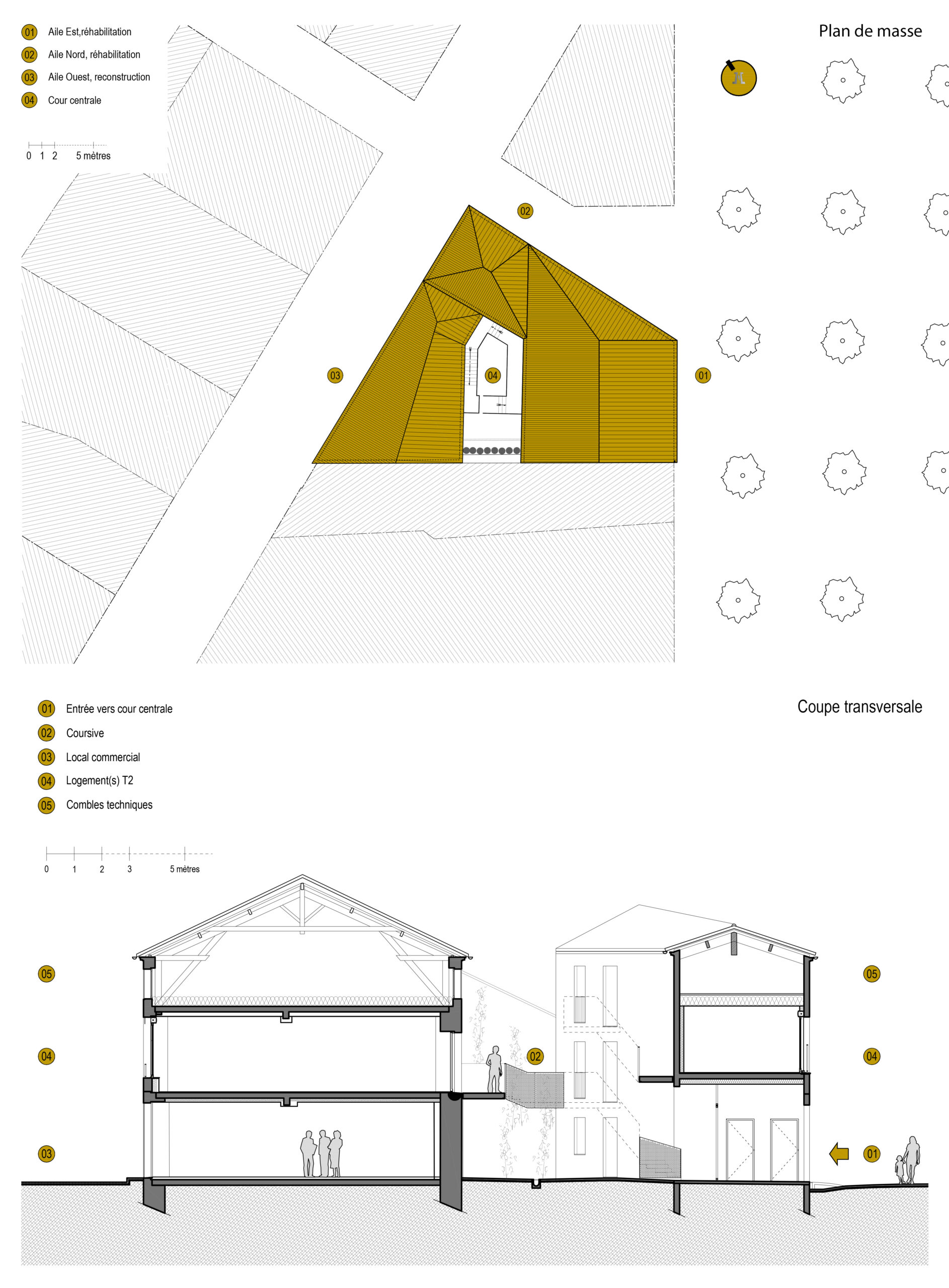 Plan de masse et coupe transversale / Atelier LALA Architecture - Résidence Saint-Jean, Lavardac, 2024.