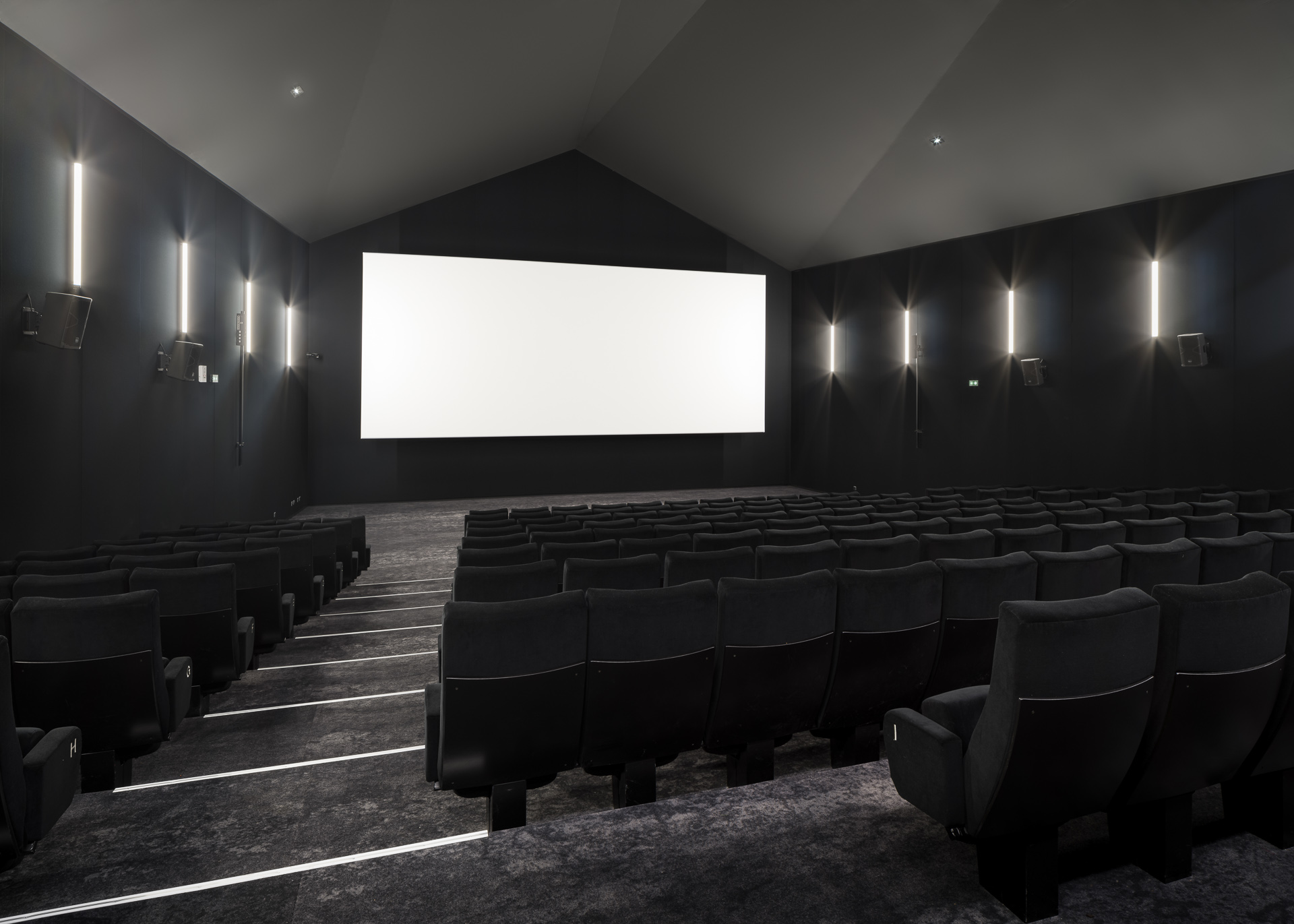 espace culturel du Pays de Nay, le cinéma / atelier d'architecture king kong - photo Arthur Péquin