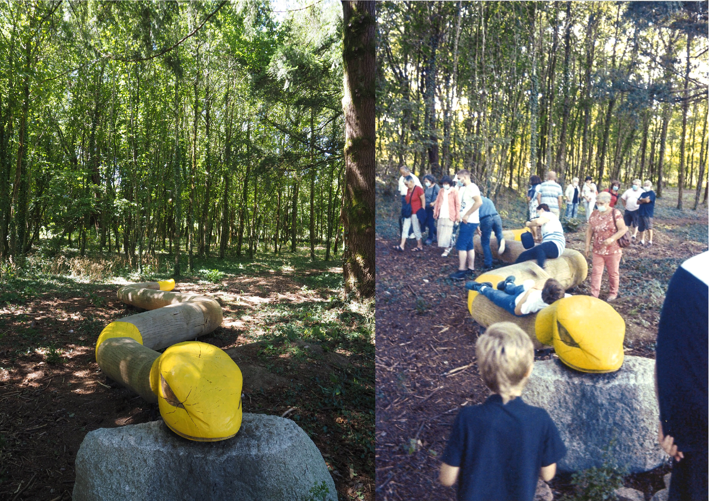 le serpent / b.ip architectes- bois aux couleurs 2021